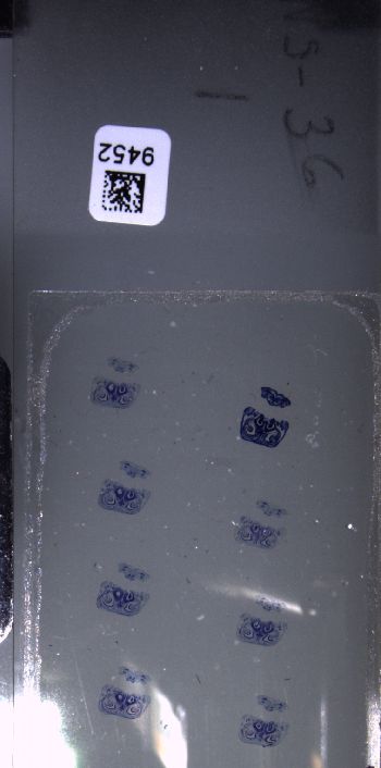 Media type: image; Special Collections 3102   shows specimen_part histological serial section;  Description: Whole slide scan, SC-3102, slide 1;